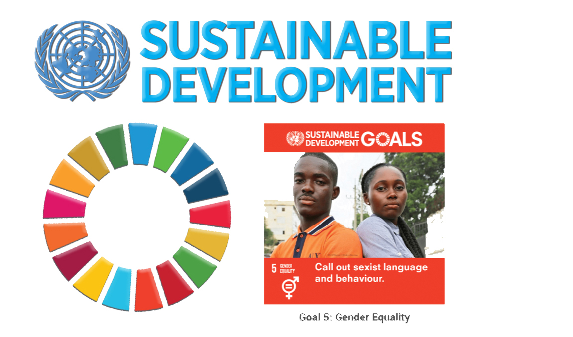 UN Sustainability Goal 5